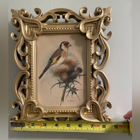 Ornate Gold Picture Frames with Vintage Bird Art - Picture 4 of 5